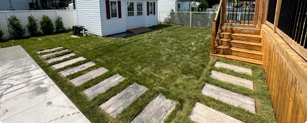 Backyard stepping stones in lawn